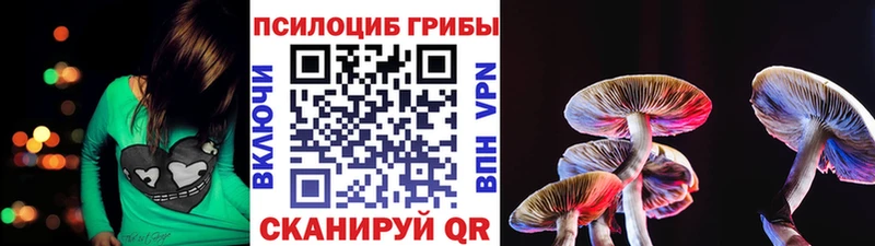 Галлюциногенные грибы MAGIC MUSHROOMS  Воронеж 